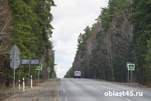 В этом году отремонтируют региональную трассу &laquo;Екатеринбург - Шадринск - Курган&raquo;