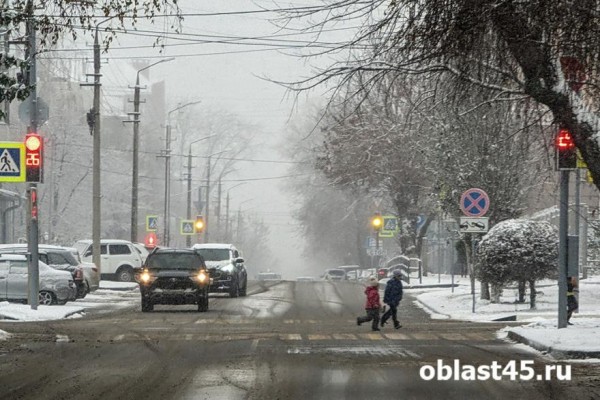 Курганских водителей просят отказаться от поездок на дальние расстояния