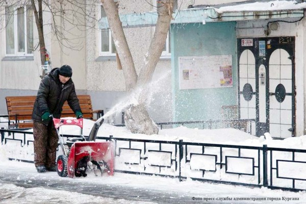 За неделю в администрацию Кургана поступило более 500 обращений от жителей