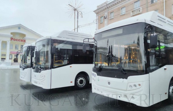 Курганцы будут ездить на новых автобусах Курганцы будут ездить на новых автобусах