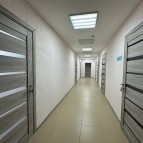 
											Министр финансов РФ Антон Силуанов и губернатор Вадим Шумков приняли участие в торжественном открытии капитально отремонтированного Белозерского музея									