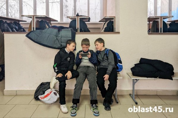 Курганские школьники остаются дома 