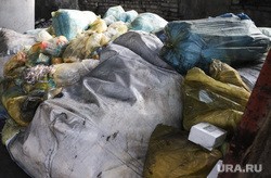 Курганская прокуратура проверила незаконную свалку трупов животных