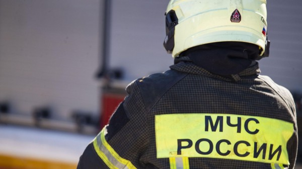 В Кургане жильцов многоквартирного дома расселят из-за признаков его аварийности В Кургане жильцов многоквартирного дома расселят из-за признаков его аварийности