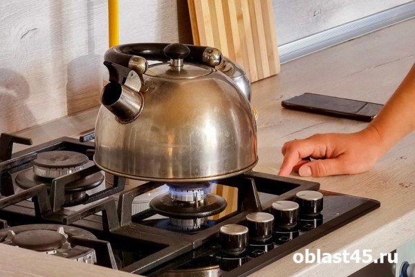 В этом году газ появится ещё в двух округах Курганской области В этом году газ появится ещё в двух округах Курганской области