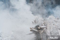 Рядом с Курганом жители заметили, как зарывают трупы животных в землю
