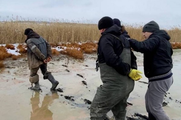 Более 3,5 миллиона рублей заплатят жители Курганской области за незаконную добычу артемии Более 3,5 миллиона рублей заплатят жители Курганской области за незаконную добычу артемии