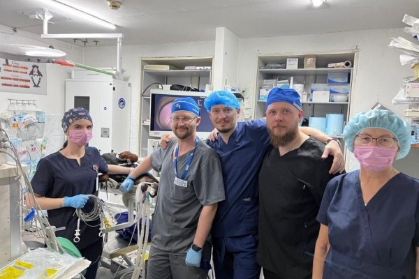 Курганские ветеринары первые в мире успешно прооперировали собаку с ахалазией 