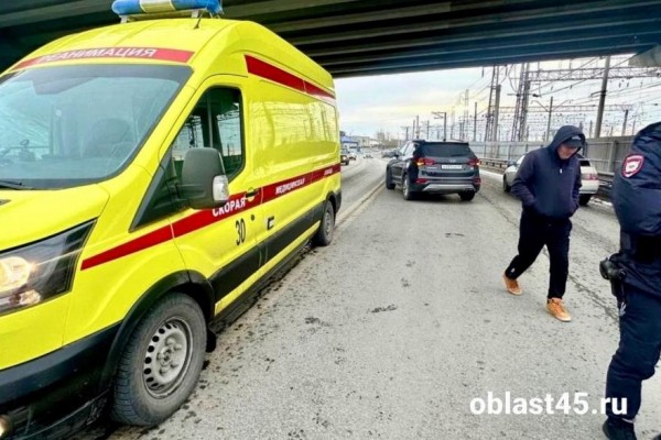 В Кургане с Некрасовского моста упал ребёнок В Кургане с Некрасовского моста упал ребёнок