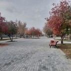 Губернатор Курганской области Вадим Шумков призвал жителей региона принять участие во Всероссийском голосовании за объекты благоустройства
Губернатор Курганской области Вадим Шумков призвал жителей региона принять участие во Всероссийском голосовании за объекты благоустройства
