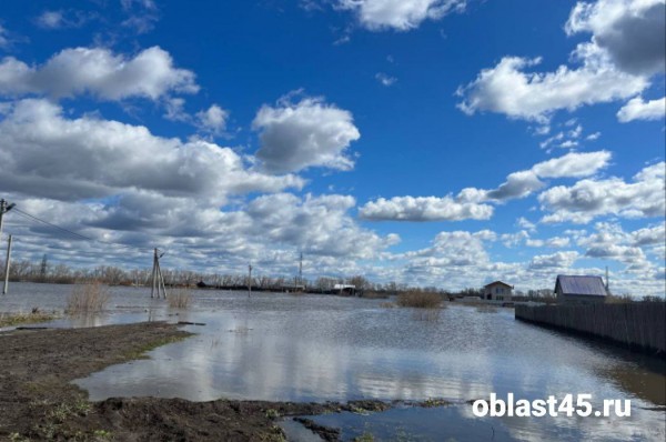 По самую крышу: в Кургане топит Черёмухово и садоводство &laquo;Тюльпан&raquo;