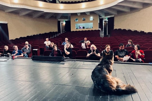 «Собачье сердце»: в Кургане актрисой спектакля стала овчарка «Собачье сердце»: в Кургане актрисой спектакля стала овчарка