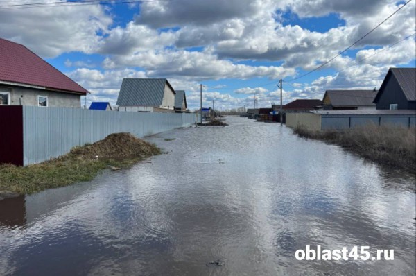 По самую крышу: в Кургане топит Черёмухово и садоводство &laquo;Тюльпан&raquo;
