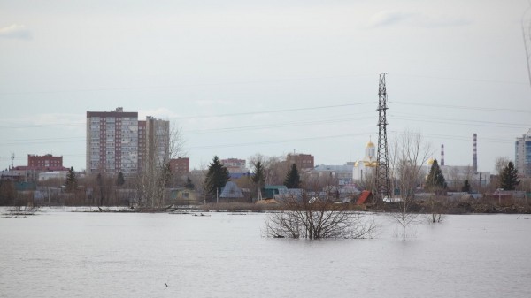 Уровень воды в реке Тобол у Кургана за день поднялся до 946 сантиметров Уровень воды в реке Тобол у Кургана за день поднялся до 946 сантиметров