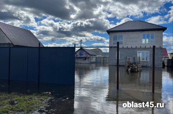 По самую крышу: в Кургане топит Черёмухово и садоводство &laquo;Тюльпан&raquo;