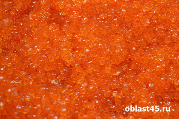 Камчатская рыба доставляется курганцам от производителя напрямую Камчатская рыба доставляется курганцам от производителя напрямую
