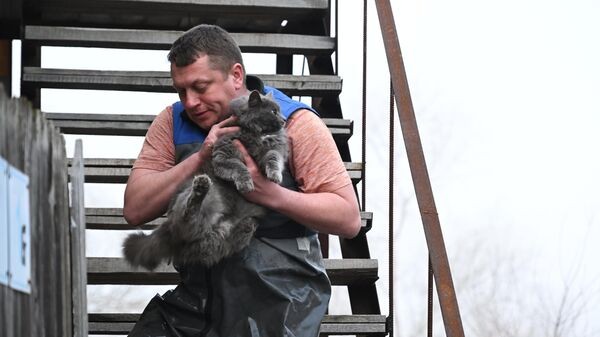 Шумков призвал жителей населенного пункта Бараба срочно эвакуироваться Шумков призвал жителей населенного пункта Бараба срочно эвакуироваться