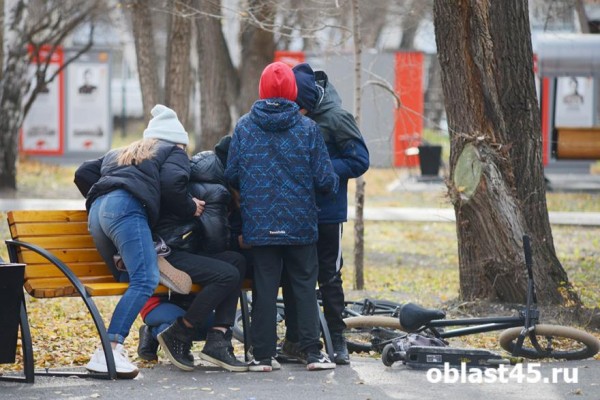 В Курганской области с начала этого года в ДТП пострадали 12 детей-пешеходов