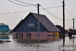 Власти раздадут масло, крупы, сахар и консервы пострадавшим от паводка курганцам Власти раздадут масло, крупы, сахар и консервы пострадавшим от паводка курганцам