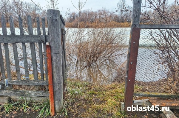&laquo;Всё не утащишь&raquo;: зауральцы об обстановке из предполагаемых зон затопления