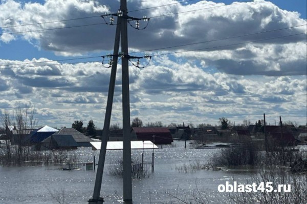 По самую крышу: в Кургане топит Черёмухово и садоводство &laquo;Тюльпан&raquo;