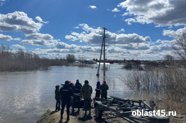 По самую крышу: в Кургане топит Черёмухово и садоводство &laquo;Тюльпан&raquo;