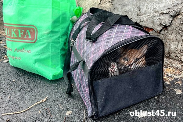 Опасная зона: из-за чего в Кургане может обрушиться стена 50-летнего общежития?