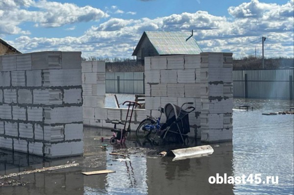 По самую крышу: в Кургане топит Черёмухово и садоводство &laquo;Тюльпан&raquo;
