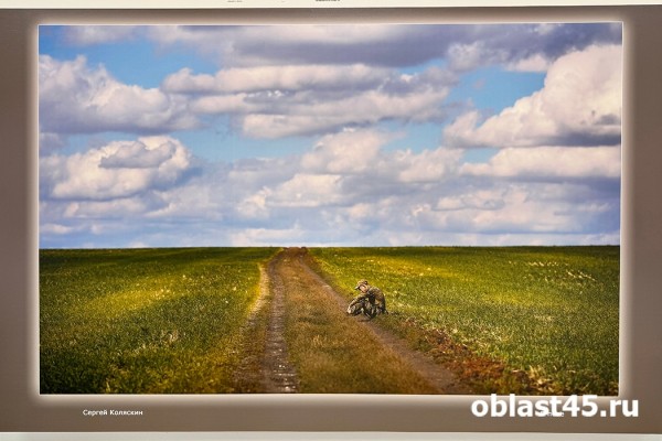 &laquo;Сила в правде&raquo;: всемирно известный фотограф привёз выставку из зоны СВО в Курган