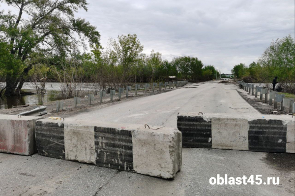 Власти Кургана рассказали, когда откроют Мало-Чаусовский мост для транспорта