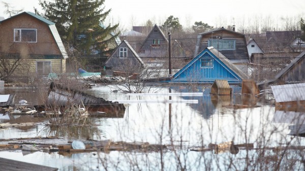 ГУМЧС Курганской области: число подтопленных дачных домов снизилось до 130 ГУМЧС Курганской области: число подтопленных дачных домов снизилось до 130