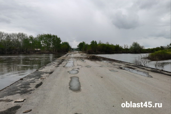 Власти Кургана рассказали, когда откроют Мало-Чаусовский мост для транспорта