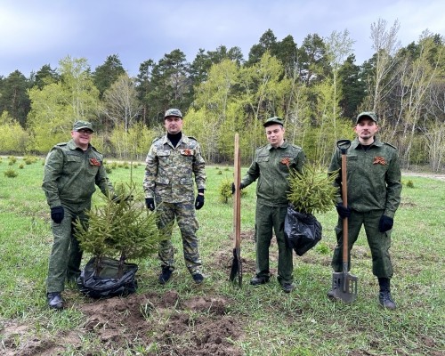 Руководитель и сотрудники следственного управления приняли участие в озеленении территории Курганского областного госпиталя для ветеранов войн