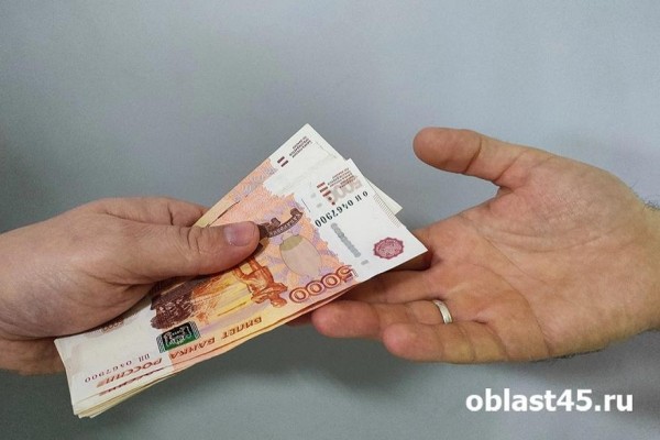 В Зауралье госинспектор и житель Сургута попали под статью УК РФ