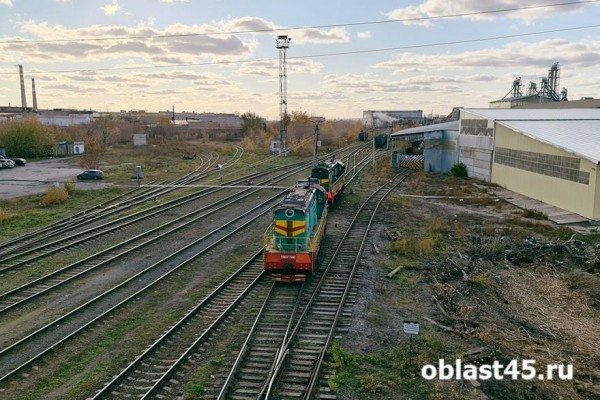 В Кургане на железной дороге нашли сгнивший труп В Кургане на железной дороге нашли сгнивший труп