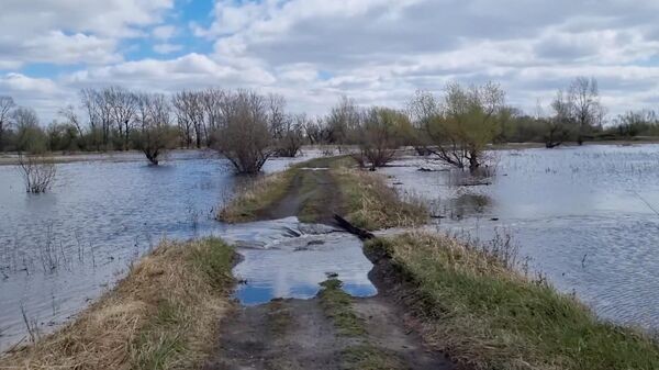 Уровень воды в реке Тобол у Кургана за сутки снизился до 510 сантиметров Уровень воды в реке Тобол у Кургана за сутки снизился до 510 сантиметров