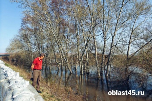 Уровень воды в курганском Тоболе снизился до 812 см