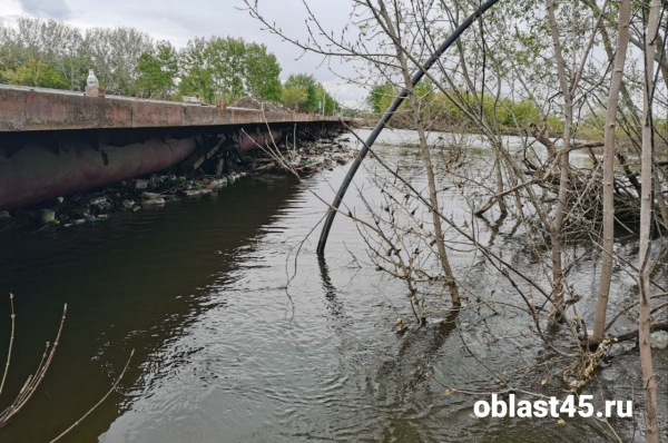 Власти Кургана рассказали, когда откроют Мало-Чаусовский мост для транспорта
