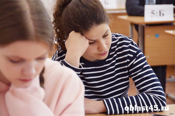 Курганцы написали один из двух обязательных ЕГЭ