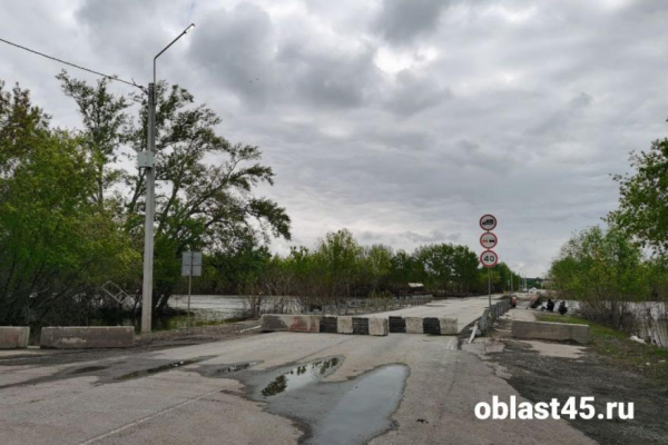Власти Кургана рассказали, когда откроют Мало-Чаусовский мост для транспорта