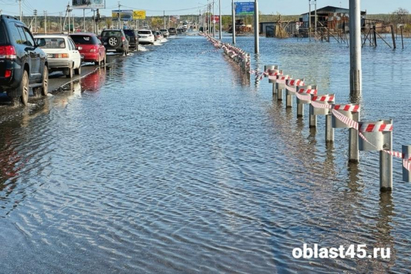 «Час от Водоканала еду»: курганцы о запуске реверса на шоссе Тюнина «Час от Водоканала еду»: курганцы о запуске реверса на шоссе Тюнина