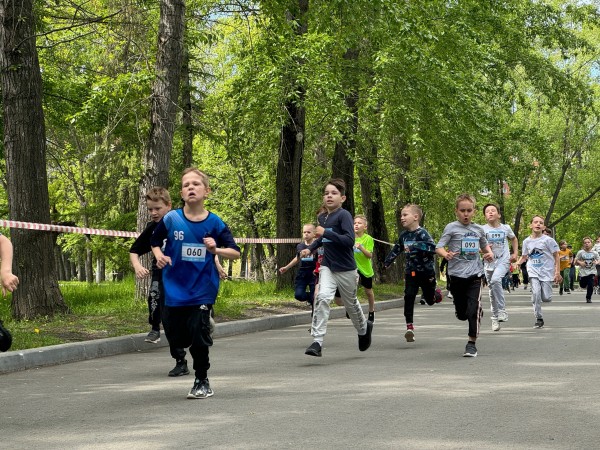 В Кургане стартовал «Зелёный марафон» В Кургане стартовал «Зелёный марафон»