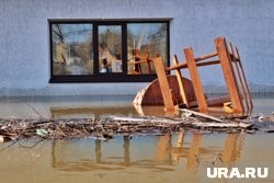 Глава курганской «Рублевки» отчитался о выплатах пострадавшим от паводка Глава курганской «Рублевки» отчитался о выплатах пострадавшим от паводка