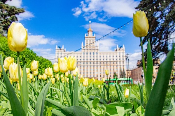 Бюджетные места, скидки, стипендии: что ждет абитуриентов в приемной кампании &ndash; 2024