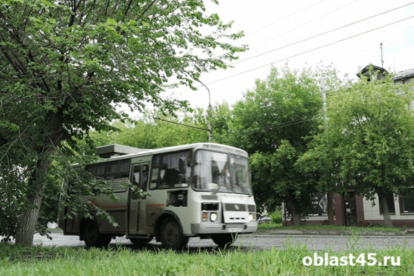 В Кургане с 1 июля перекроют дорогу в микрорайоне Рябково В Кургане с 1 июля перекроют дорогу в микрорайоне Рябково