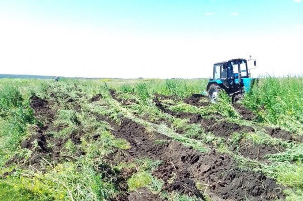 В Кургане создали 430 км противопожарных полос В Кургане создали 430 км противопожарных полос