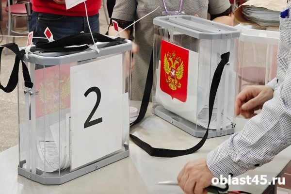 Ремонты в шадринских школах не помешают выбрать губернатора региона