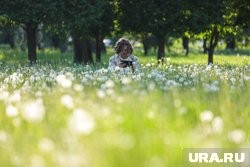 Курганцам рассказали о погоде в первой половине июля