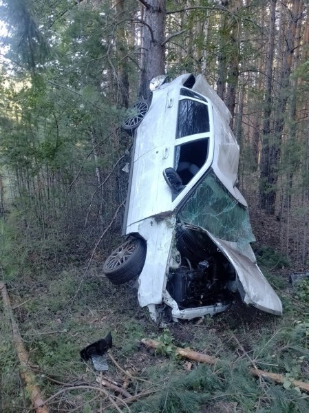 Двое молодых зауральцев погибли в ДТП после наезда на дерево