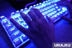 Курганского хакера будут судить за атаку на вуз Новосибирска Курганского хакера будут судить за атаку на вуз Новосибирска